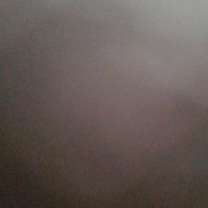 Meet your Posher, Guigui